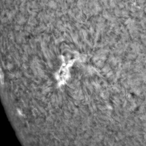 3月24日太陽③（2974）
