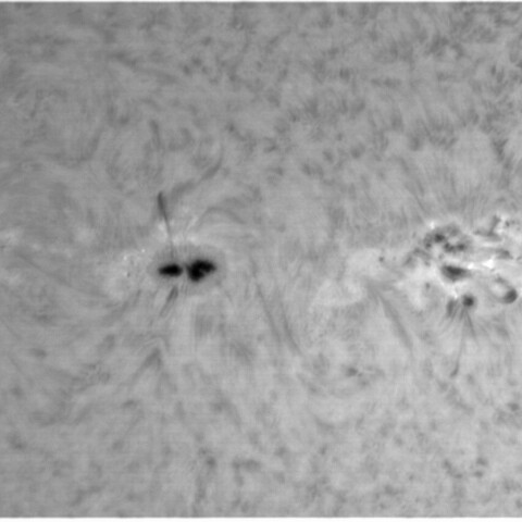 3月30日太陽④（黒点2976，2975）