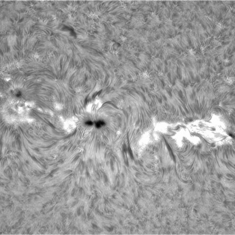 3月30日太陽②（黒点2976，2975）
