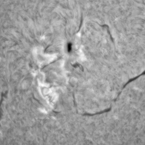 3月31日太陽の③（2978）