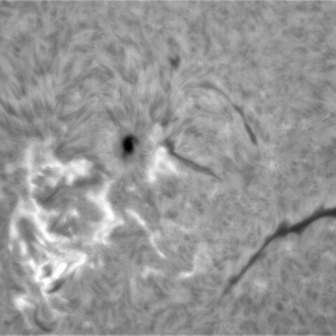 4月1日の太陽②（2981，2978）