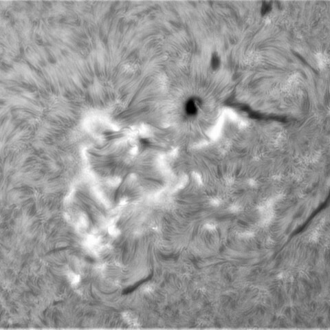 4月2日の太陽③（297８、2981）