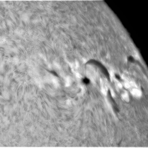 4月2日の太陽②（2976、2975）