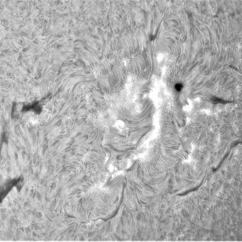 4月6日の太陽②（2981，2978）