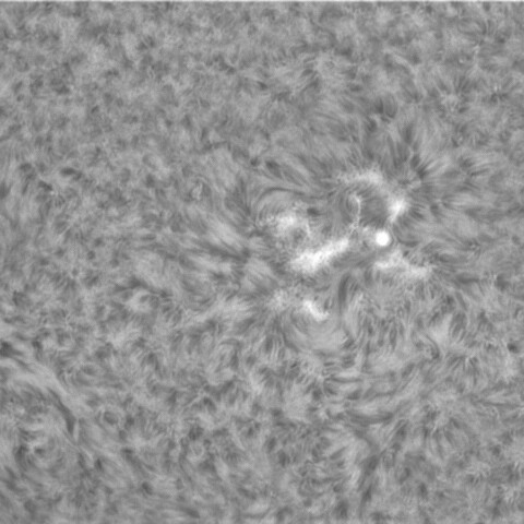 4月8日の太陽②（2985周辺）
