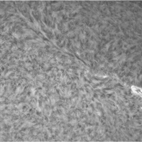 4月8日の太陽①（2983周辺）
