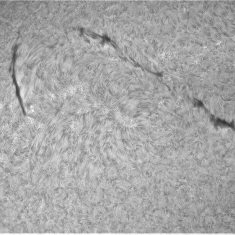 4月9日の太陽②（北半球東側面のフィラメント）