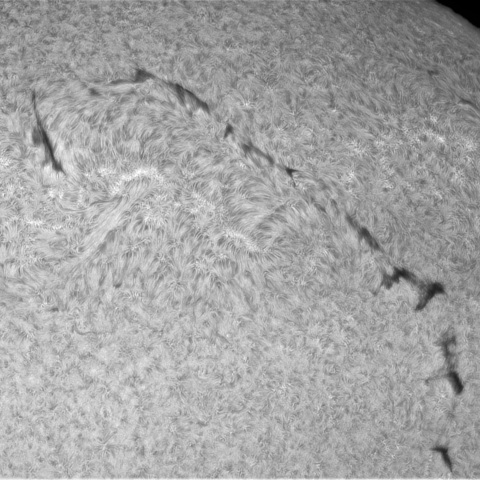4月11日の太陽②（北半球フィラメント）