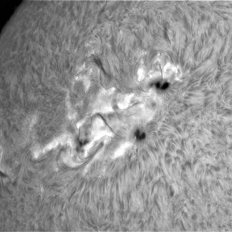 4月20日の太陽②（2993，2994，2995）