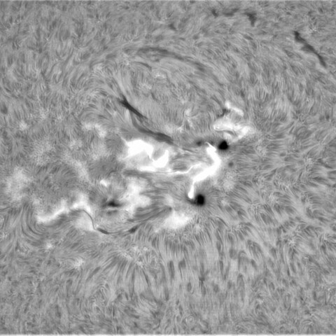 4月22日の太陽③（2993フレア，2994）