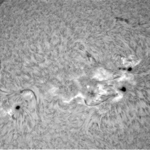 4月23日の太陽②（2993，2994，2995，2996）