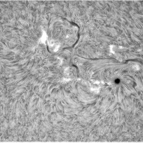 4月25日の太陽④（2995，2996）