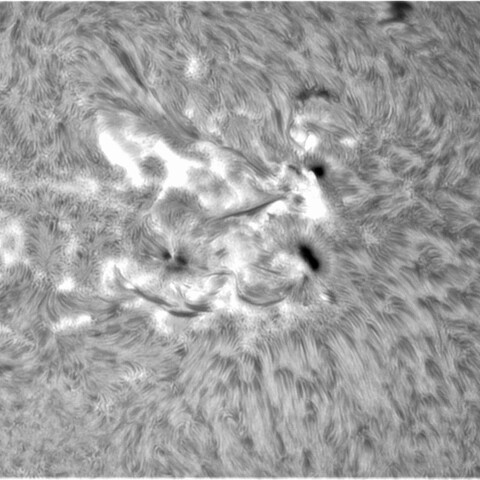 4月25日の太陽③（2993，2994）