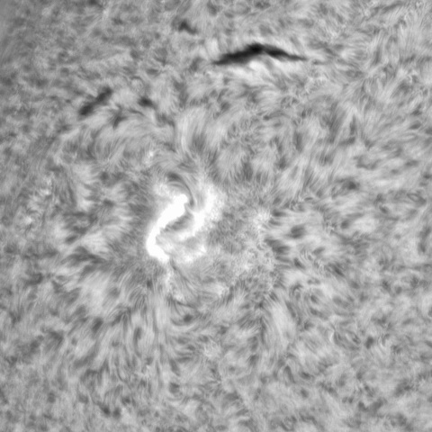 5月22日の太陽➁（3019）