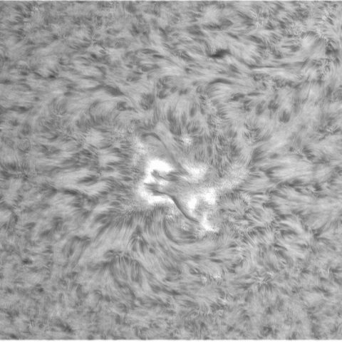 5月24日の太陽➁（3019）