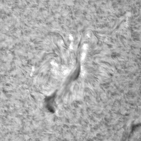 5月25日の太陽③（3016）