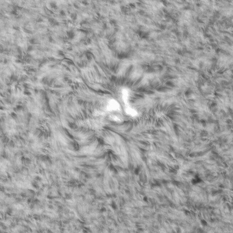 5月29日の太陽④（3021）