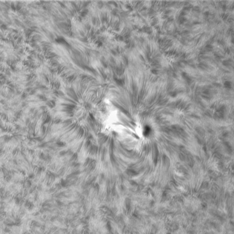 6月 2日の太陽③（3026 ）