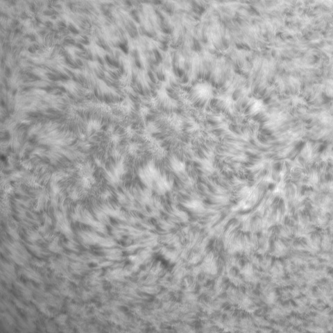6月 4日の太陽④（南東面 ）