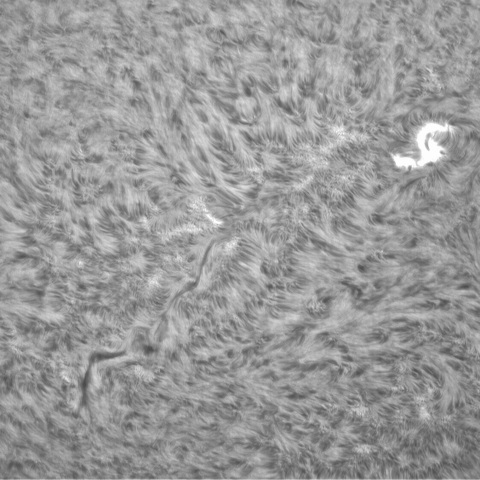 6月9日の太陽③（ 3029 ）