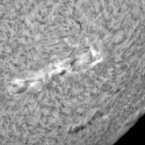 6月17日の太陽③（3031）