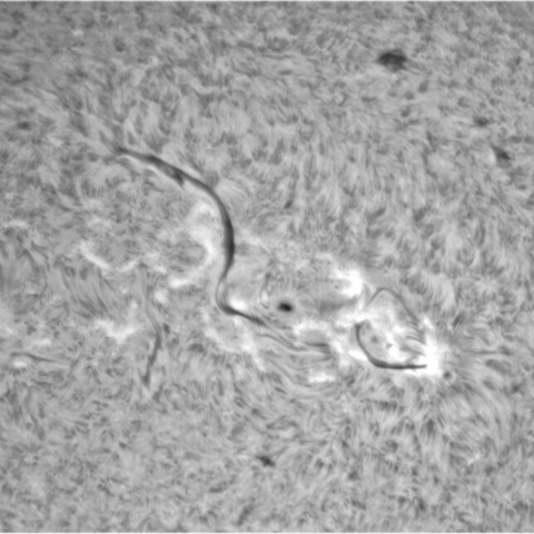 6月17日の太陽⓶（3032）