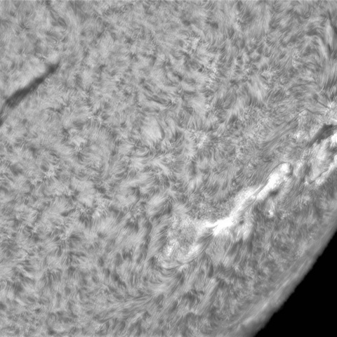 6月19日の太陽⑤（3031）