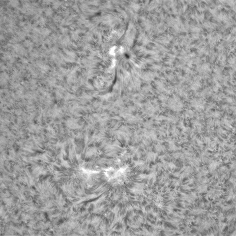 6月19日の太陽③（3034，3035）