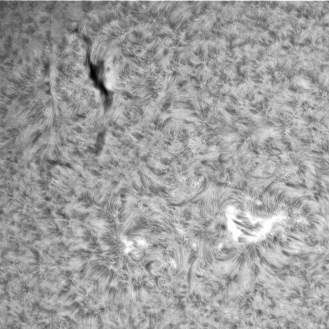 6月19日の太陽⓶（3038）