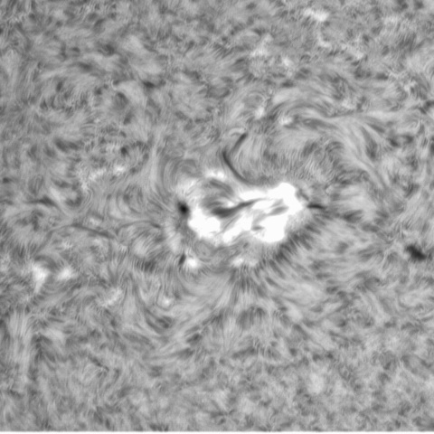 6月20日の太陽①（3038）