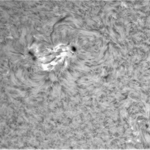 6月21日の太陽⓶（3038，3034）