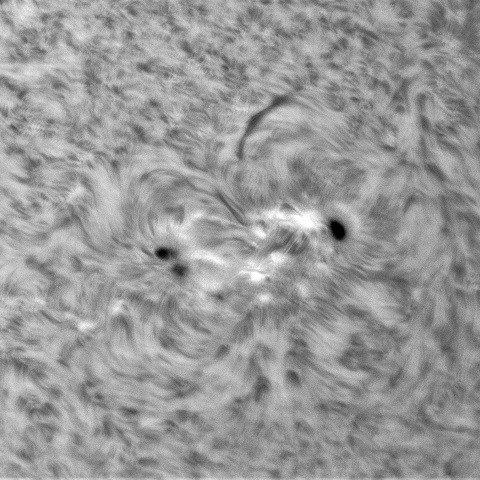 6月22日の太陽①（3038）