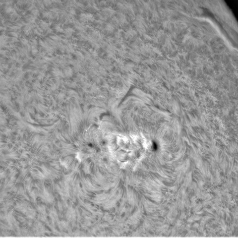 6月23日の太陽①（3038と2つのフィラメント）