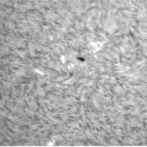 6月25日の太陽③（3040）