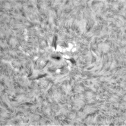 6月26日の太陽⓶（3040）