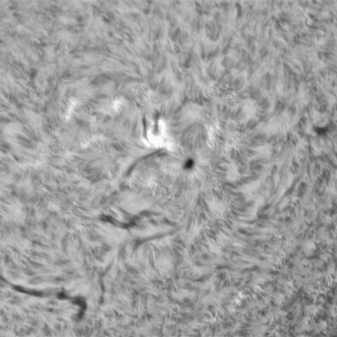 6月29日の太陽③（3040）