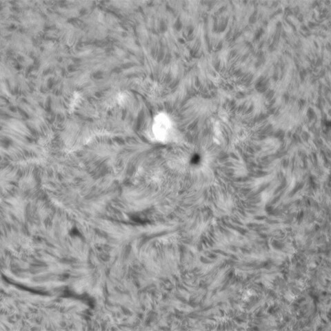 6月29日の太陽⓶（3040）