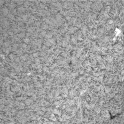 7月1日の太陽③（3040）