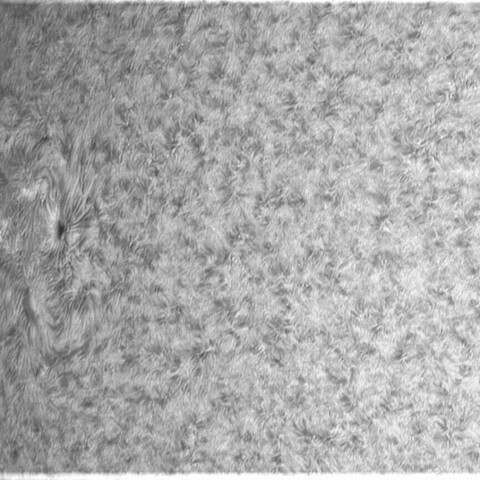 7月2日の太陽③（3046）
