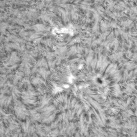 7月6日の太陽⓶（3051，3046）