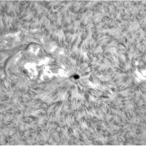 7月10日の太陽①（3053，3052）