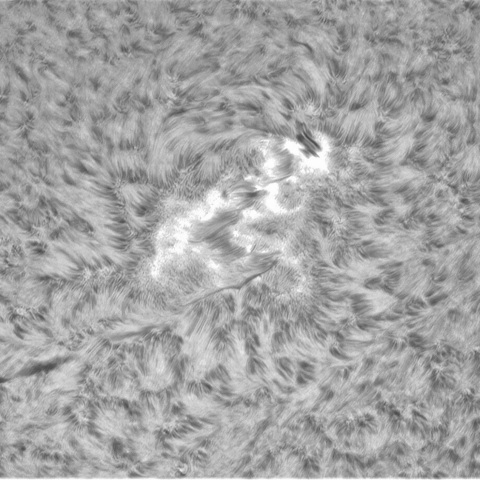 7月17日の太陽④（3056）