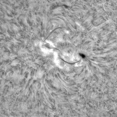 7月17日の太陽➂（3057）