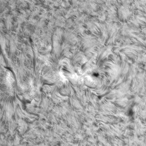 7月17日の太陽⓶（3060，3058）