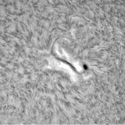 7月20日の太陽➂（3057）