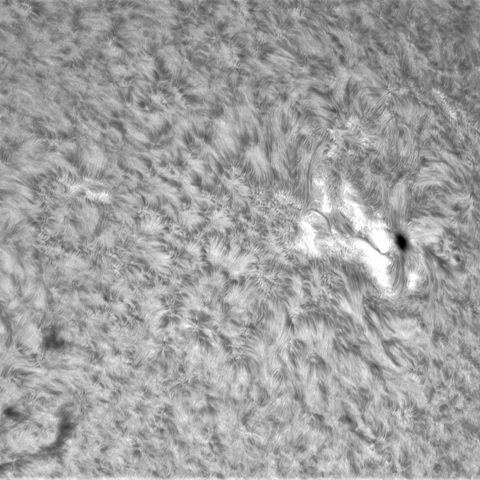 7月21日の太陽➂（3057）