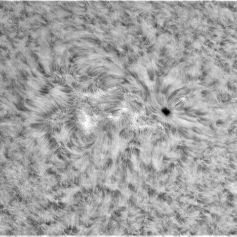 7月21日の太陽⓶（3059）