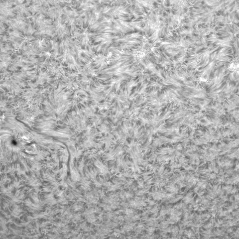 7月24日の太陽⓶（3062，3065）