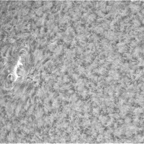 7月28日の太陽⓶（3067）