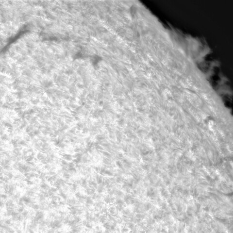 7月29日の太陽⓶(北西縁)